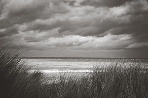 Zandvoort au bord de la mer