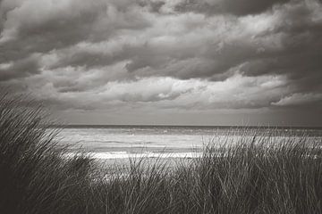 Zandvoort aan Zee van Nicky Kapel