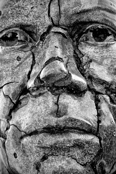 Gesprungenes Bild von Dries van Assen