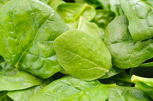 Verse spinazie