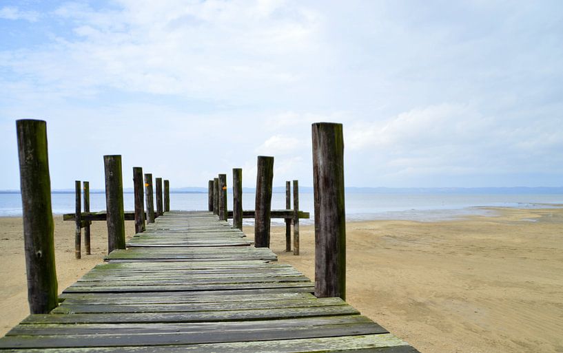 Verlaten steiger bij het meer van Saint Lucia, natuurgebied iSimangaliso van Vera Boels