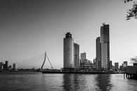 Panoramisch uitzicht op de Erasmusbrug en de kop van zuid in Rotterdam, Nederland. van Tjeerd Kruse thumbnail