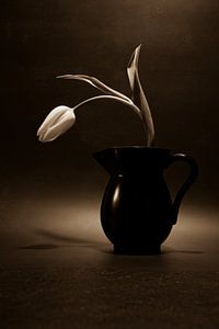 Tulpe in Vase