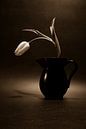 Tulip in vase by Rik Verslype thumbnail