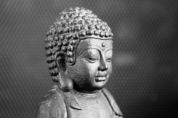 Mediterende Boeddha van Anneke Verweij