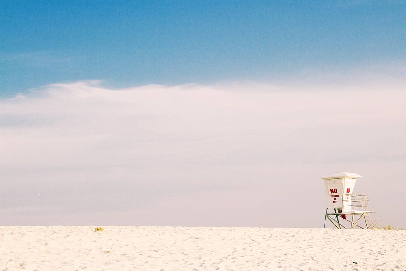Lifeguard by Walljar