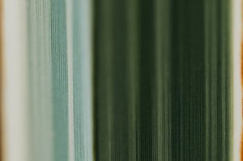 Colors of spring #2 - landscape orientation