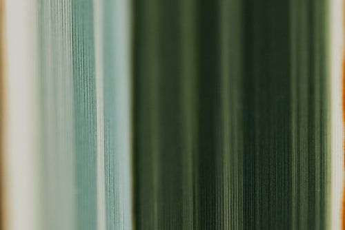 Colors of spring #2 - landscape orientation