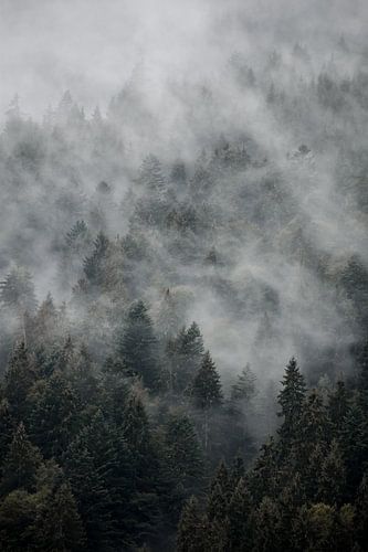 Fog covered mountains
