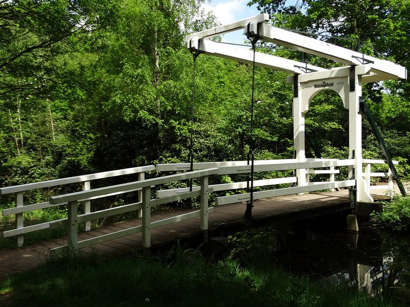 Bridge by Lyana Albers