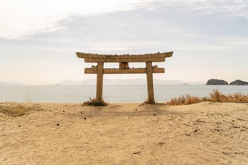 A Torii gate at the waterfront