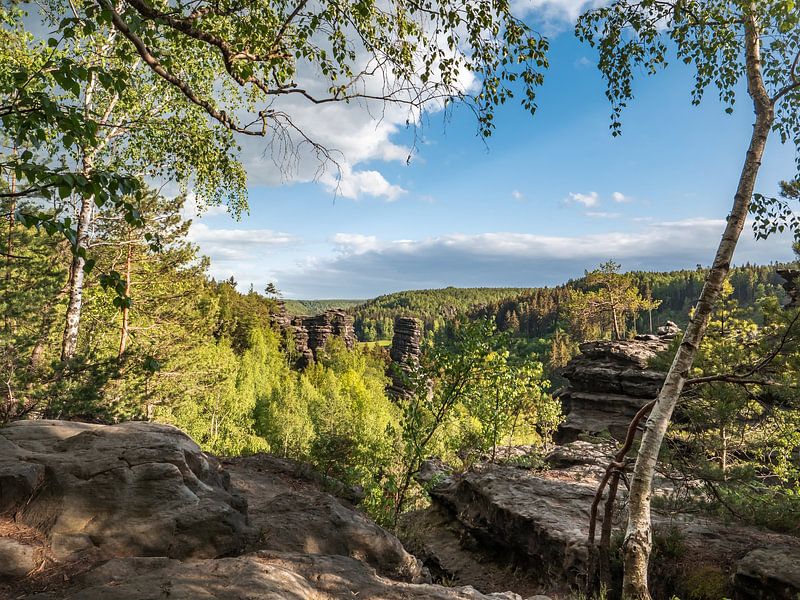 Bielatal, Saxon Switzerland - Rock plateau and Schiefer Turm by Pixelwerk