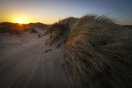 Dune between Katwijk and Noordwjk by Dirk van Egmond