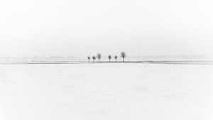 Winter-Minimalismus