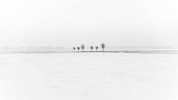 Winters minimalisme van Mark Bolijn