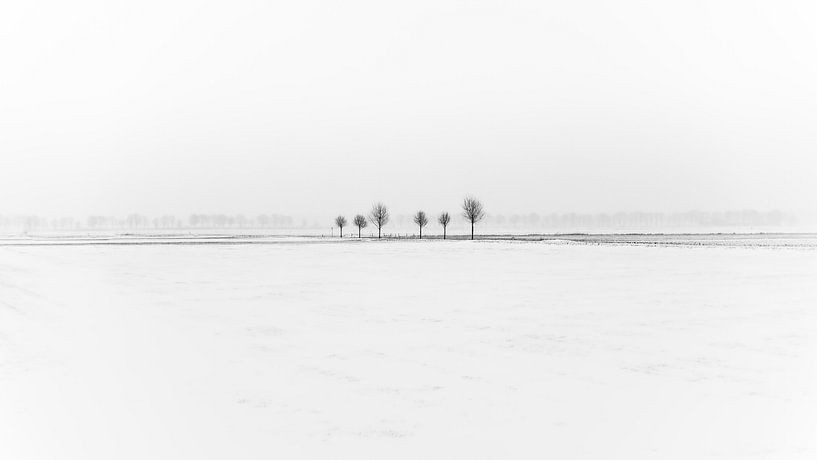 Winter-Minimalismus von Mark Bolijn