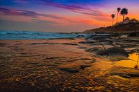 La jolla