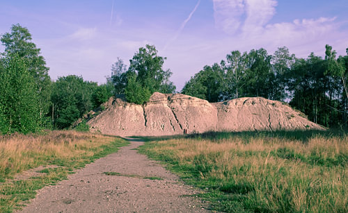 Zandberg op de Heide