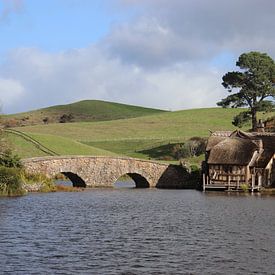 Filmkulisse der Hobbit Neuseeland von Pauline Nijboer