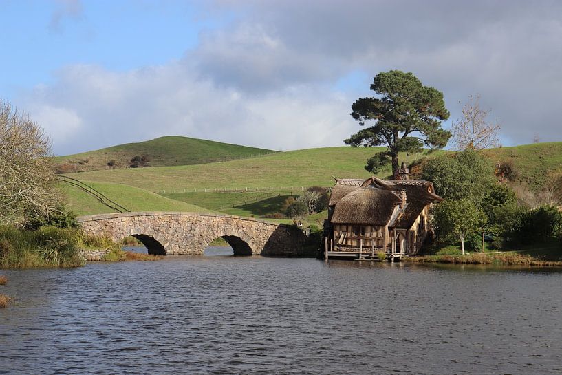 Filmkulisse der Hobbit Neuseeland von Pauline Nijboer