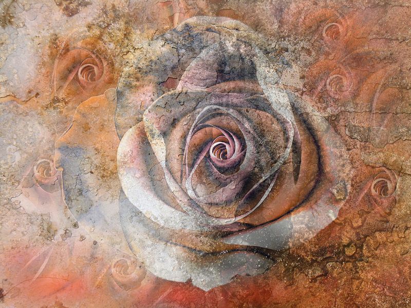 vergängliche Rosen von Claudia Gründler