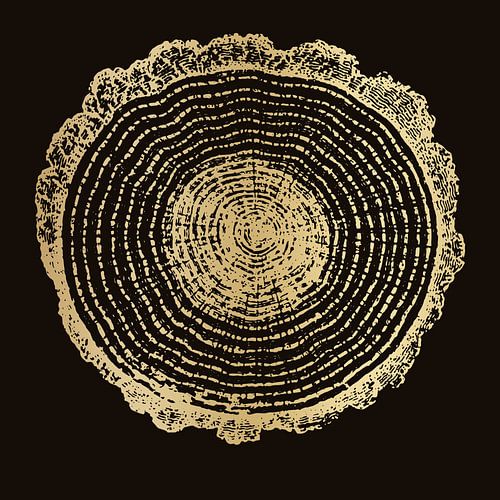 Moderne abstracte botanische minimalistische kunst in goud op zwart