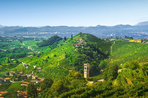 Het prachtige landschap van de Prosecco Hills