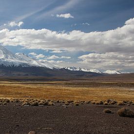 Volcan sur l'Altiplano en Bolivie sur A. Hendriks