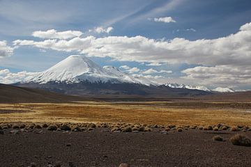 Vulkaan op de Altiplano in Bolivia van A. Hendriks