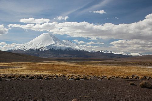 Vulkaan op de Altiplano in Bolivia