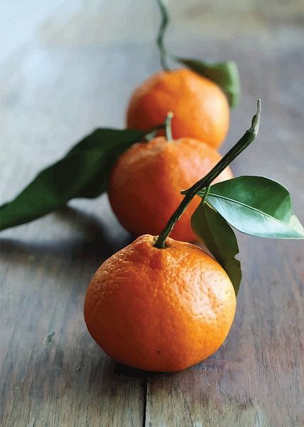 Citrus Symphony by Mita Tri Wahyuni