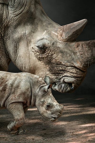RhinoMom par Marcel Egger