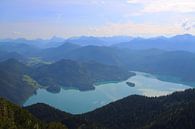 Uitzicht op Walchensee van Ines Porada thumbnail