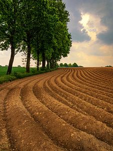 Frühling in Limburg, die Niederlande