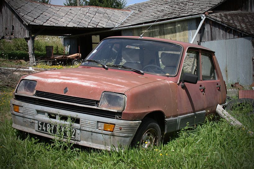 Roestige Renault 5 van Ton van Waard - Pro-Moois