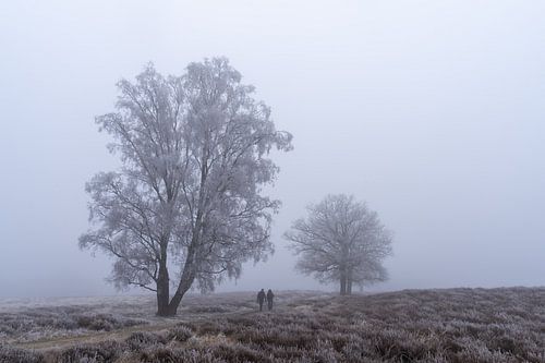 Walkig in the cold misty morning