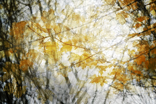 Goldene Herbstblätter als abstrakter Naturhintergrund durch Mehrfachbelichtung, Kopierplatz