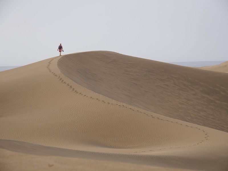 Photographer on the Dunes of Maspalomas by Judith van Wijk