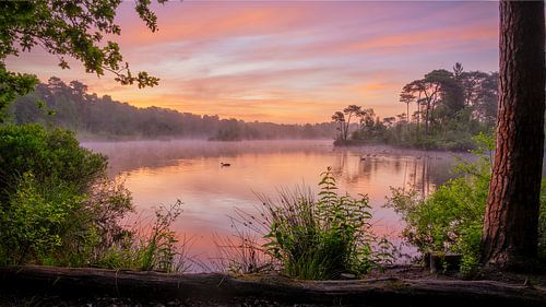 Stille am See von Antoine van de Laar