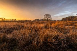 Sunrise on the moors by Guido Graas