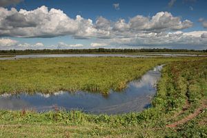 Paix et tranquillité dans un polder néerlandais sur Antwan Janssen