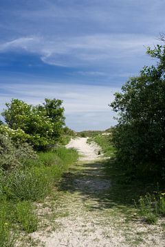 Pad door het landschap op het eiland Baltrum van Anja B. Schäfer