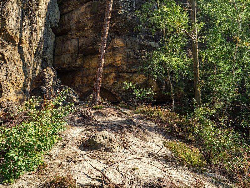 Pechofenstein, Sächsische Schweiz - Felsterrasse und Felswand von Pixelwerk