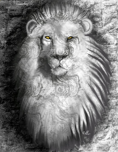 I am the Lion King II