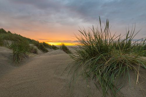 Délicieux repos dans les dunes