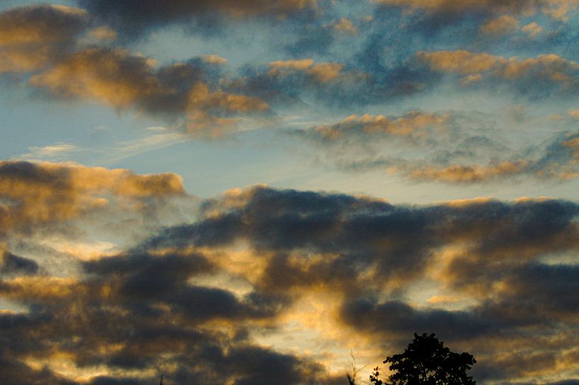 Nuages d'or noir par Niek Traas