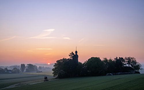 Thüringer weiden aan het begin van de dag, Eifel, Rijnland-Palts, Duitsland
