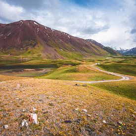 The colourful hills of Kyrgyzie by Yvonne de Bondt