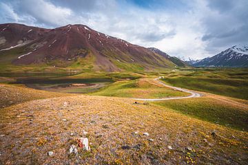 The colourful hills of Kyrgyzie by Yvonne de Bondt