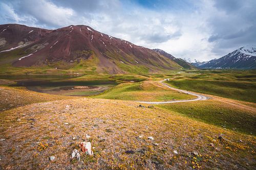 The colourful hills of Kyrgyzie by Yvonne de Bondt